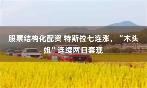 股票结构化配资 特斯拉七连涨，“木头姐”连续两日套现