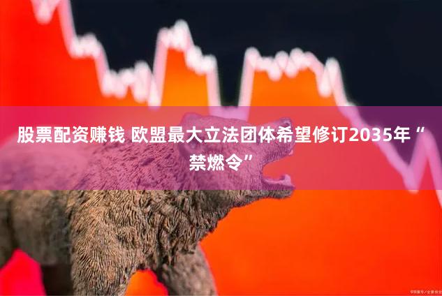 股票配资赚钱 欧盟最大立法团体希望修订2035年“禁燃令”