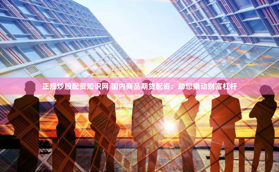 正规炒股配资知识网 国内商品期货配资：助您撬动财富杠杆