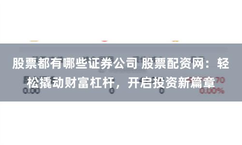 股票都有哪些证券公司 股票配资网：轻松撬动财富杠杆，开启投资新篇章