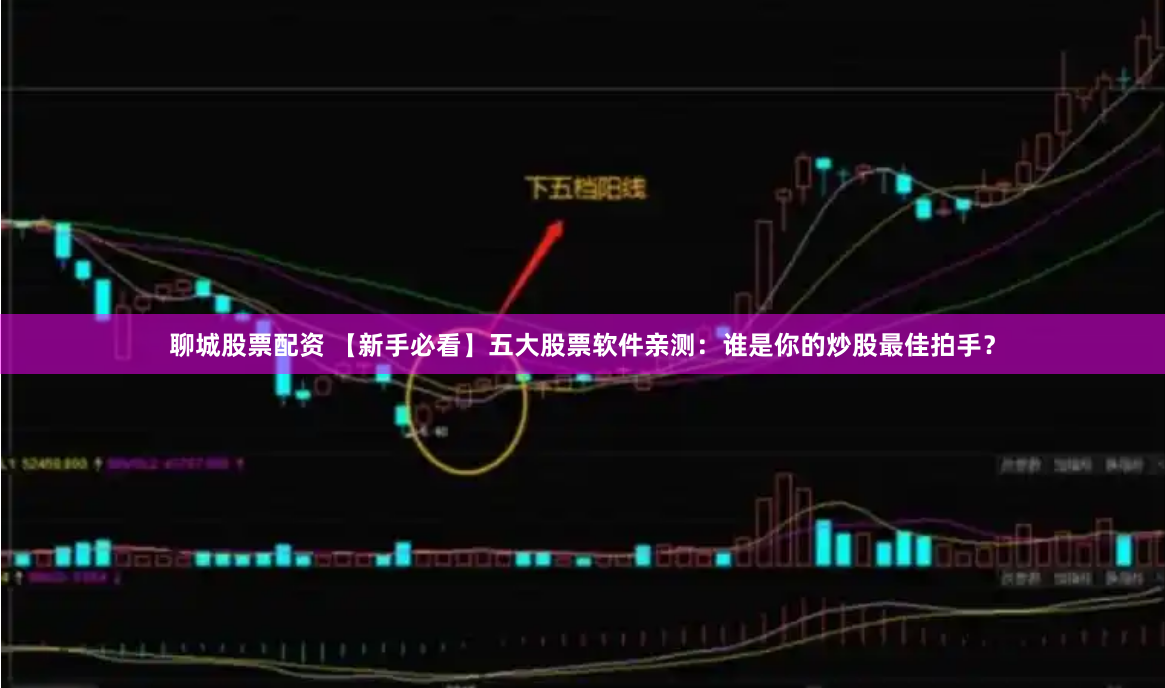 聊城股票配资 【新手必看】五大股票软件亲测：谁是你的炒股最佳拍手？