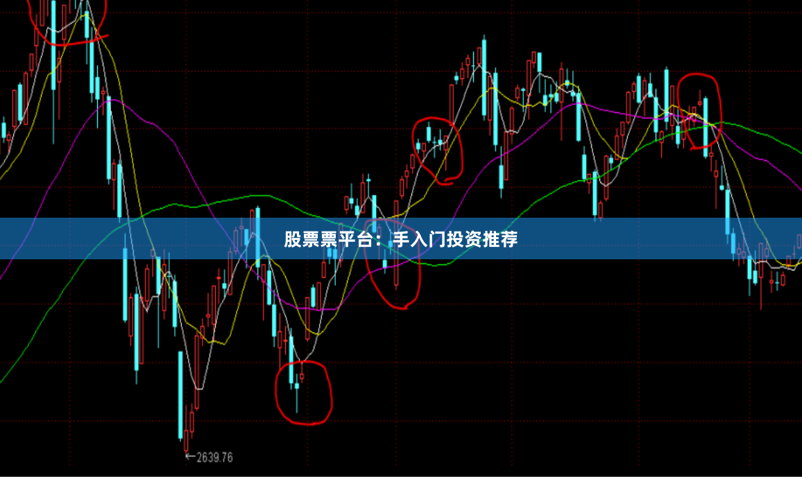 股票票平台:手入门投资推荐