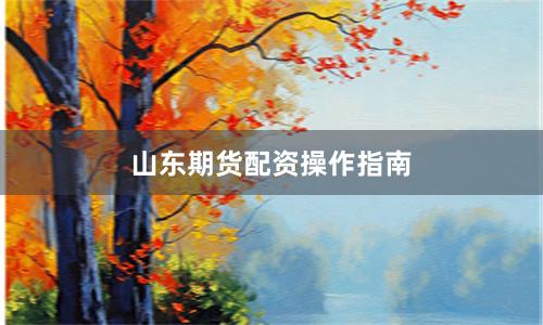 山东期货配资操作指南